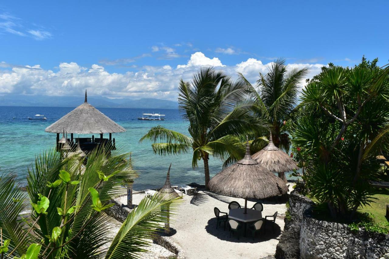 Dolphin House Resort Moalboal Exterior foto