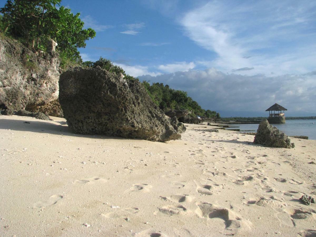 Dolphin House Resort Moalboal Exterior foto