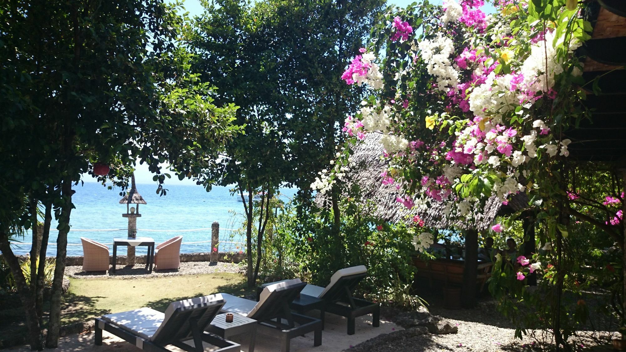 Dolphin House Resort Moalboal Exterior foto